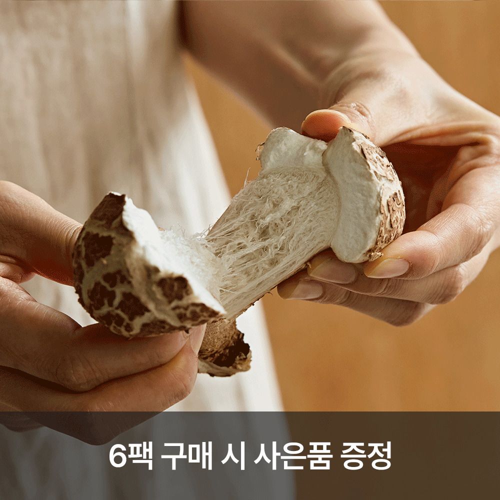 [산지직송] 30년 버섯 노하우! 강산표고농장 무농약 '솔아람 송이버섯' 특품 (400g)