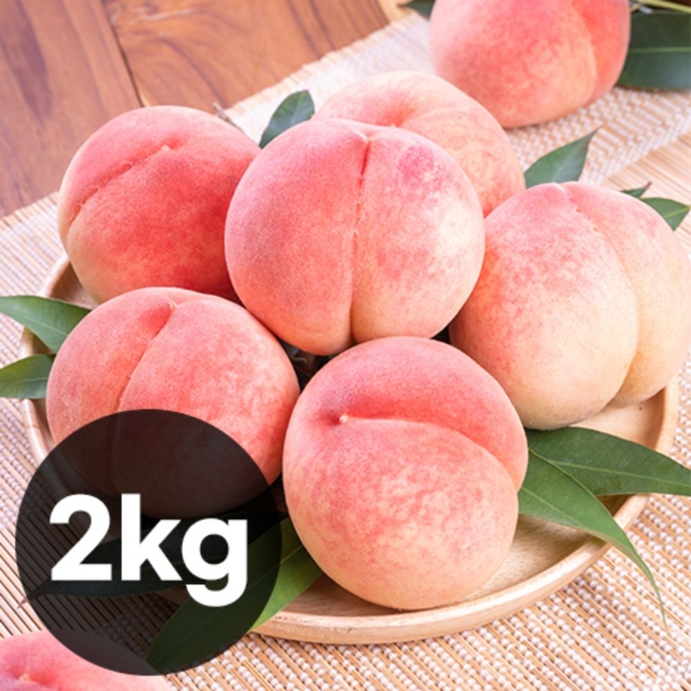 (7/6부터 순차발송)[첫수확·제철한정] 대극천 반납작 복숭아 2kg (11-18과)