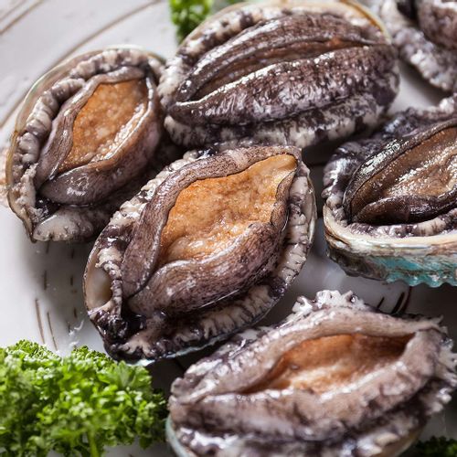 국내 최대 활수산 서부물산 전복 전문가가 선별한 싱싱 활전복 1kg