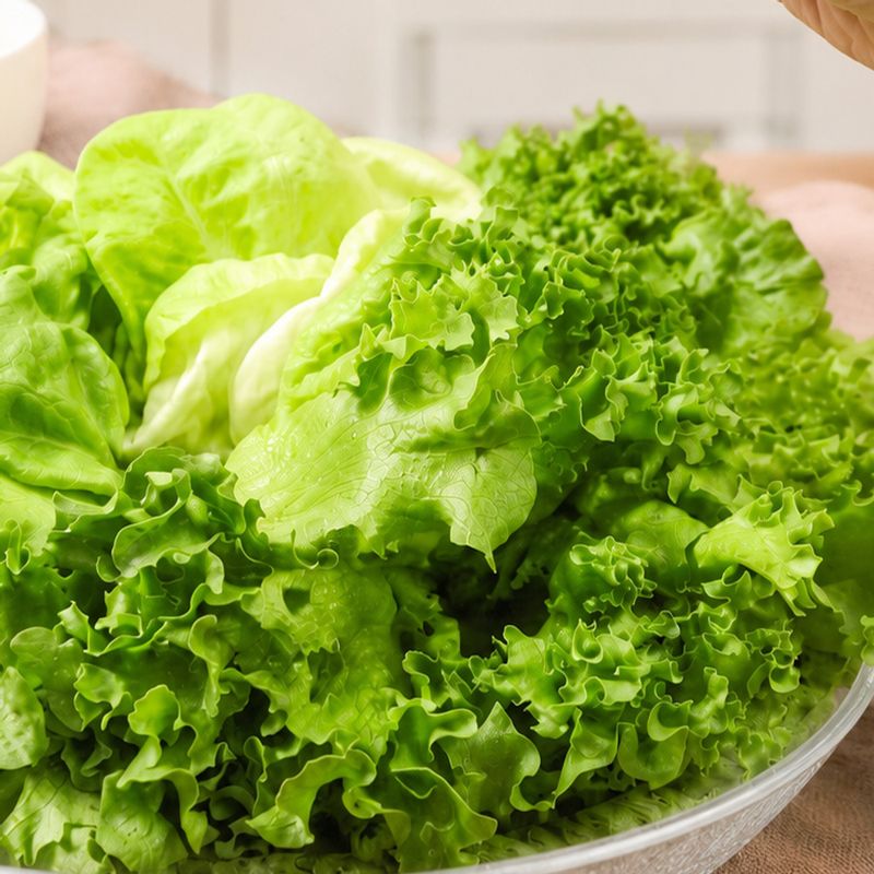 산지직송 아삭 유러피안 샐러드 채소 800g