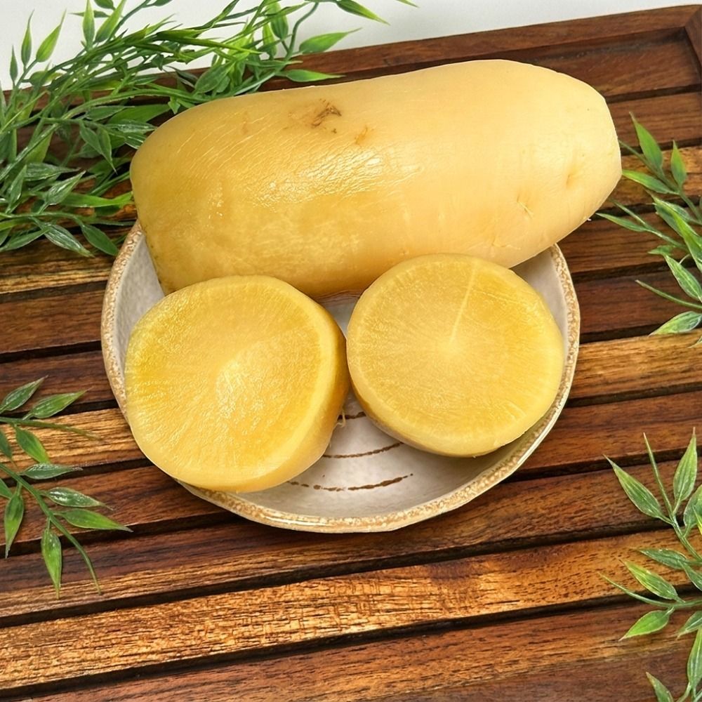 제주 월동무로 절인 황금무짠지 1kg+1kg