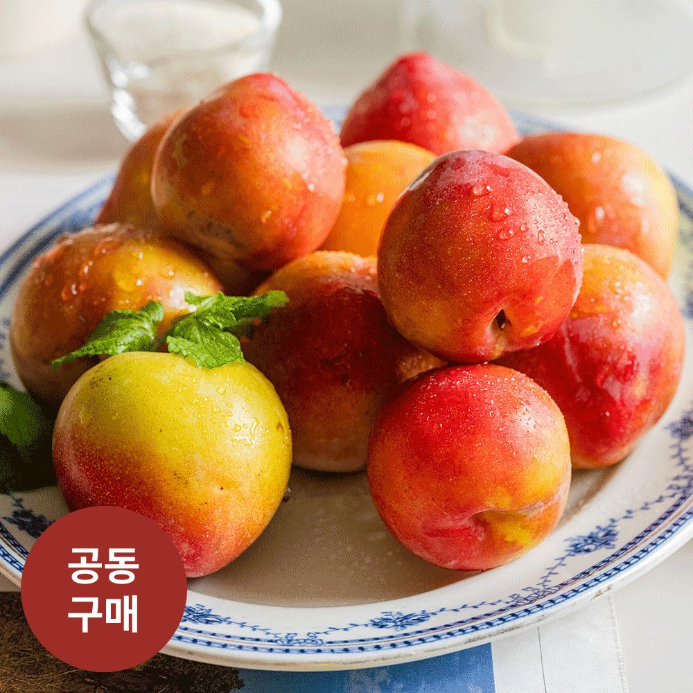 [사전예약] 안동직송! 자두의 여왕 '추희자두' 2.5kg