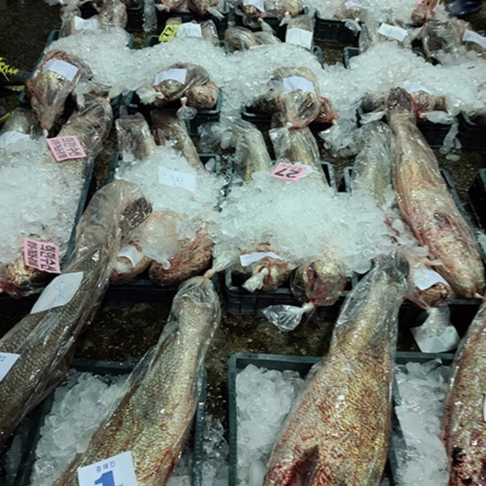 [산지직송, 당일조업] 여름 보양식 자연산 민어회 400g 