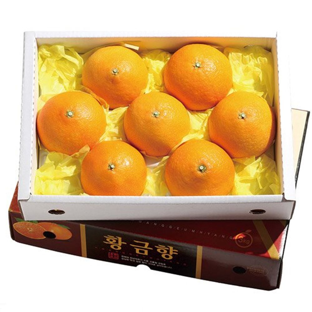[오랜농장] 제주 황금향 선물세트