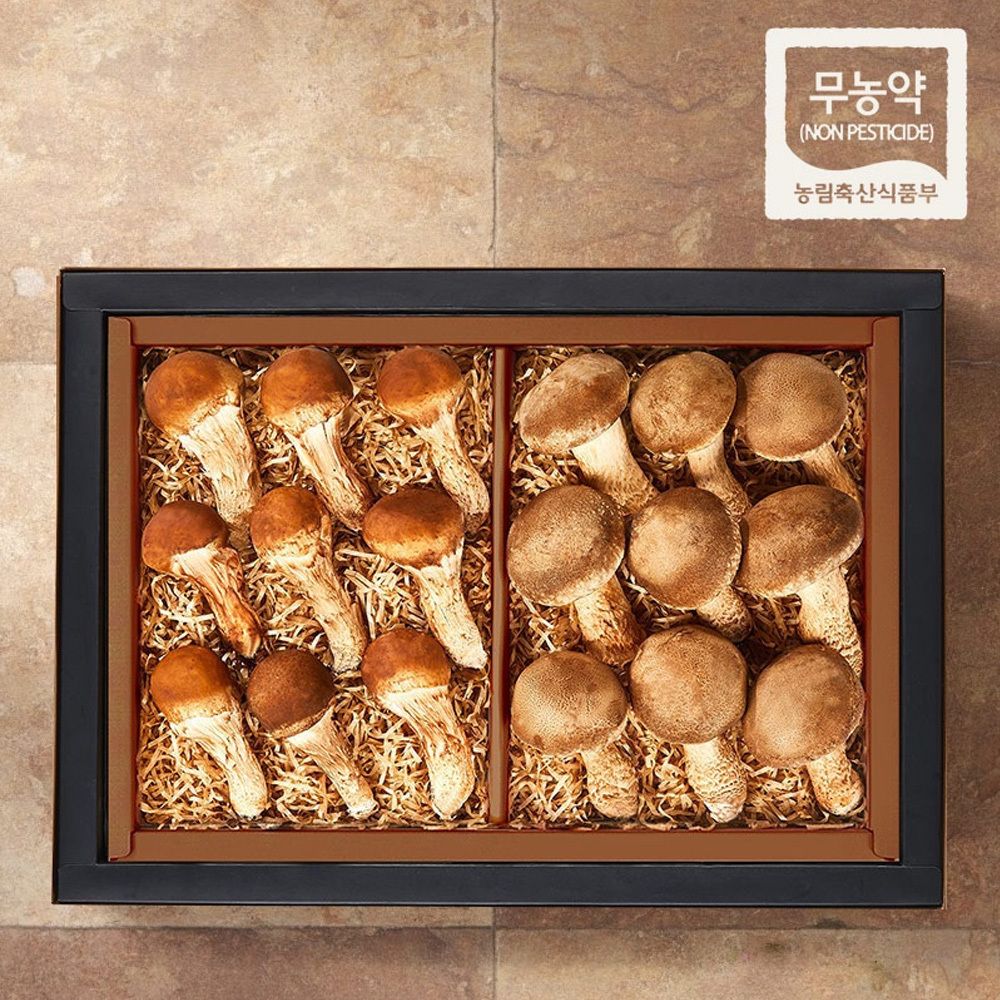 [메이필드호텔]지정농장 프리미엄 무농약 생버섯 혼합 선물세트 5종(참송이+참송화)