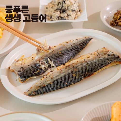 100% 국내산 등푸른 생생 고등어 660g/1kg (택1)