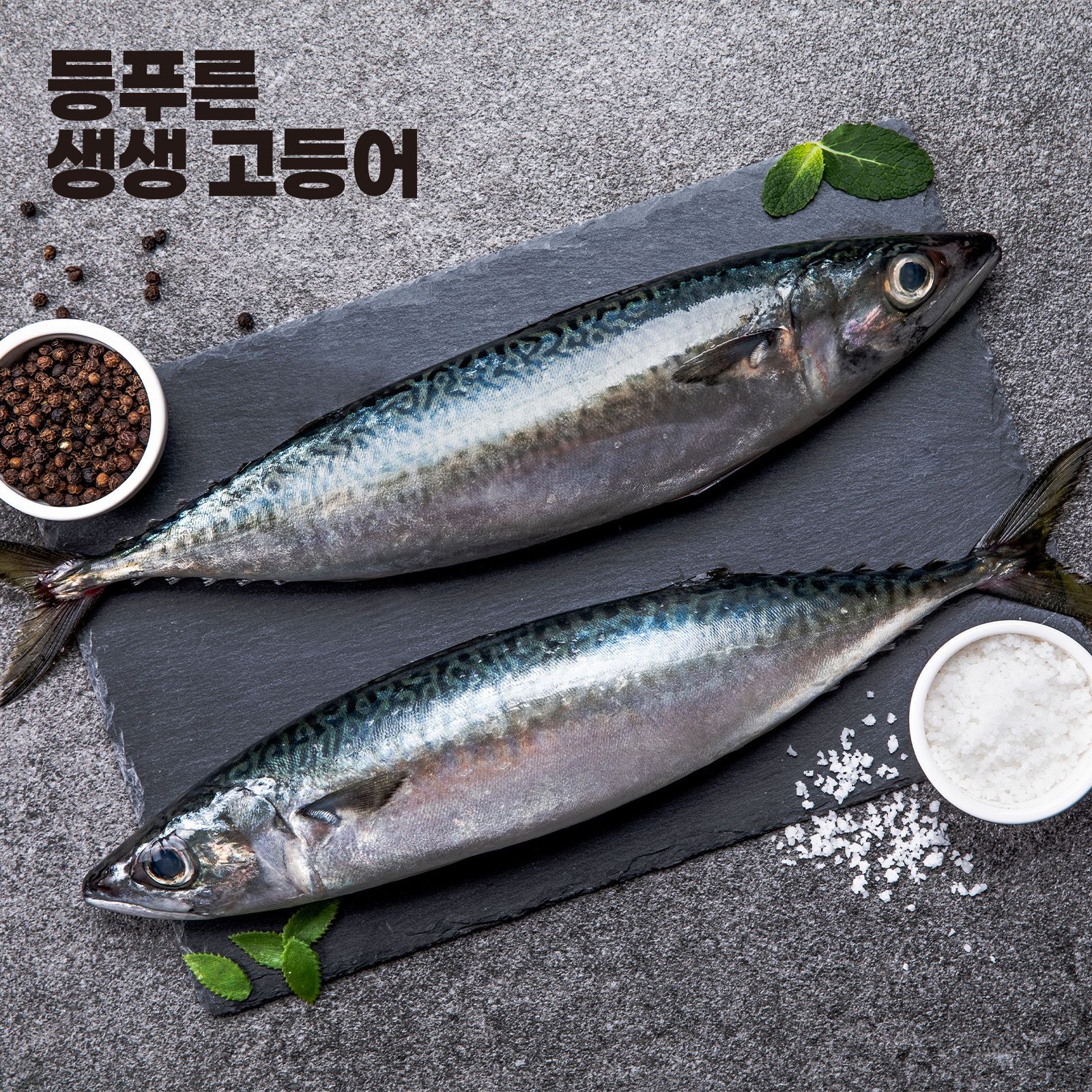 100% 국내산 등푸른 생생 고등어 660g/1kg (택1)