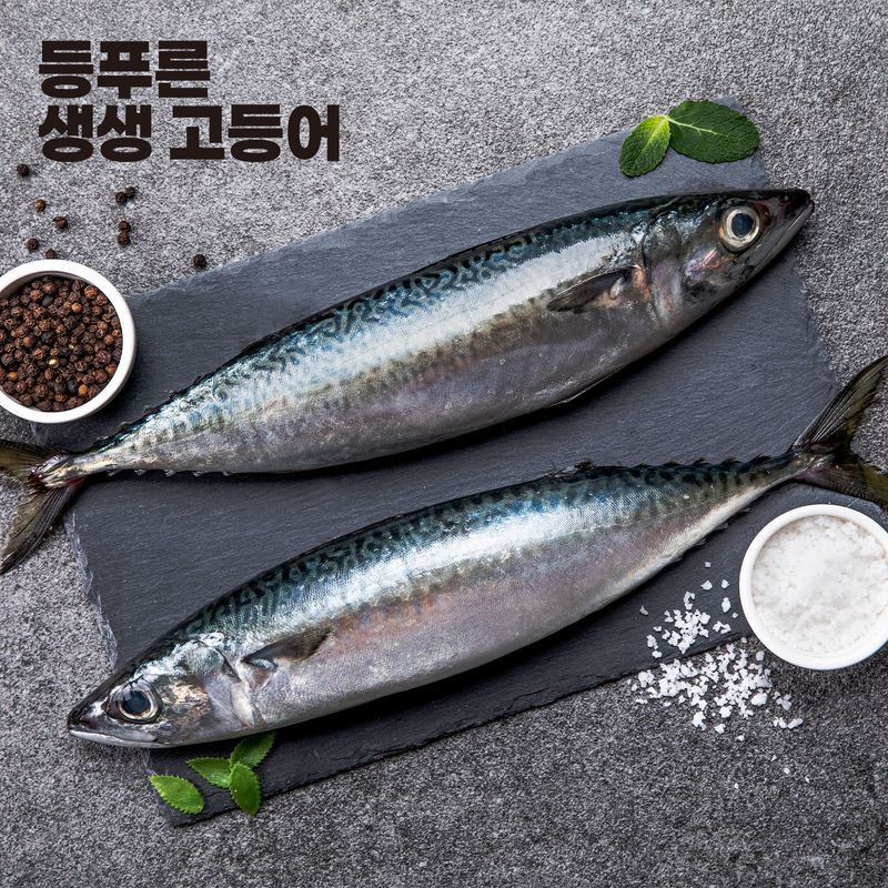 100% 국내산 등푸른 생생 고등어 660g/1kg (택1)
