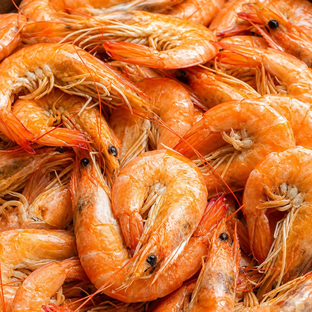 제철! 큼직한 활 흰다리 새우 500g