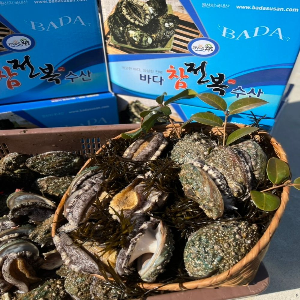 [바다참전복수산] 완도 활전복 VIP 프리미엄 특대 8~10미 (1kg/1.5kg/2kg)