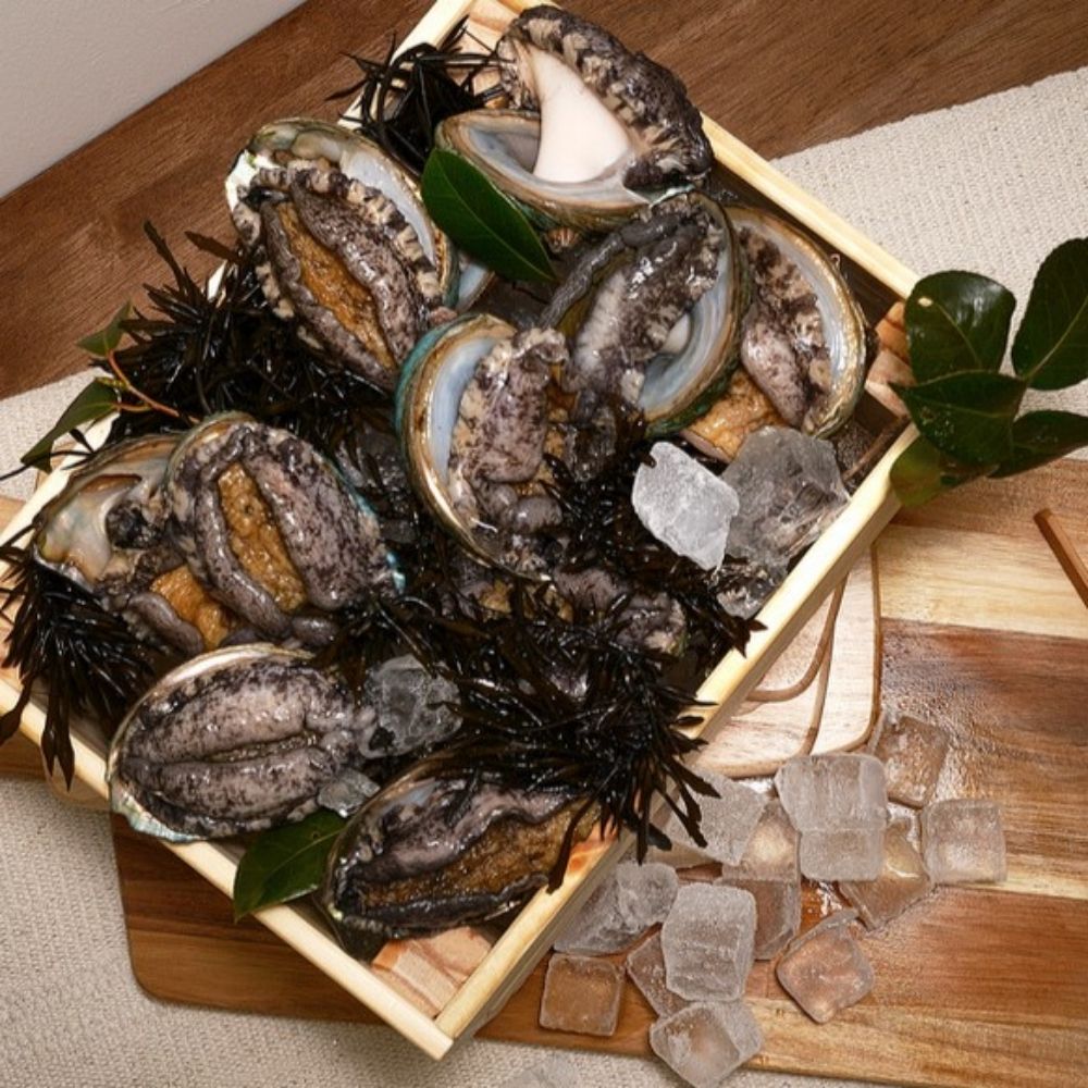 [바다참전복수산] 완도 활전복 VIP 프리미엄 특대 8~10미 (1kg/1.5kg/2kg)