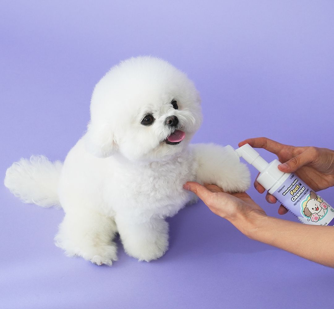 [펫생각] 블풋 워터리스 강아지 발 세정제 샴푸 발바닥 클렌저 발사탕 습진 150ml