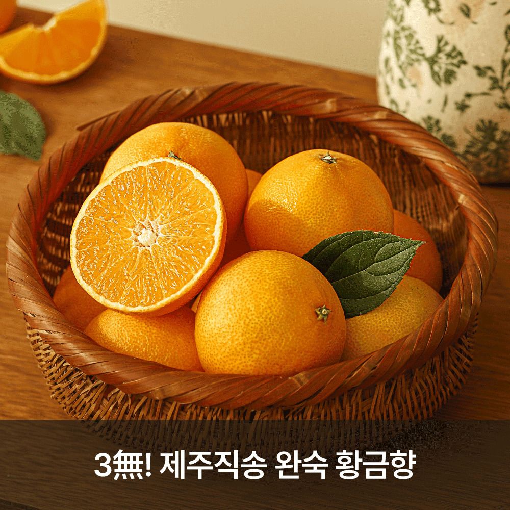 [공동구매] 제주직송! 서귀포 '돈오름농장' 완숙 황금향 (3/5/10kg)