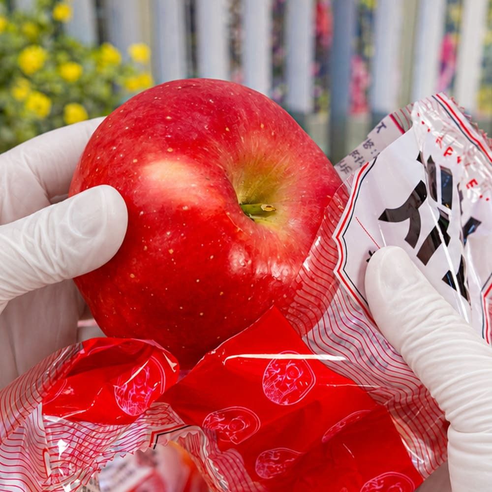껍질째먹는 세척사과 개별포장 2.5kg (10-16과 내외)
