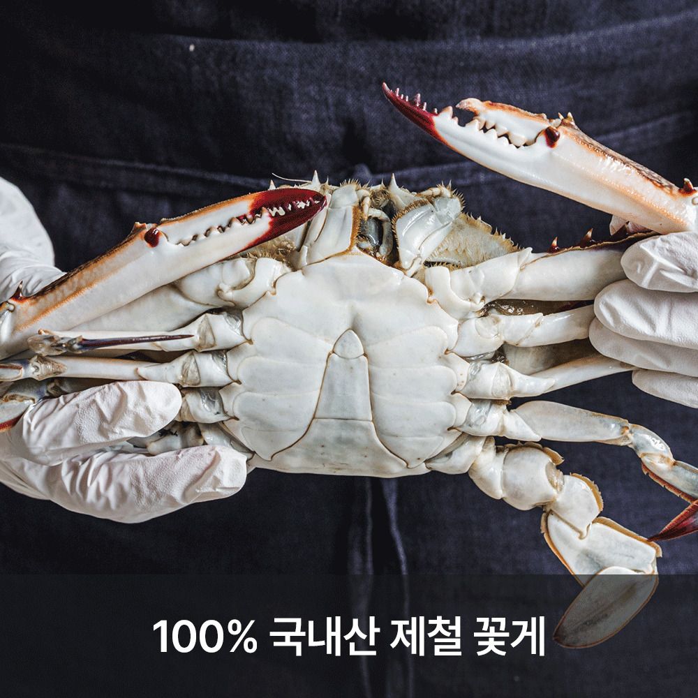 [한정특가] 신선함 보장! 수율 가득 서해안 활 숫꽃게 1kg (3-5미)