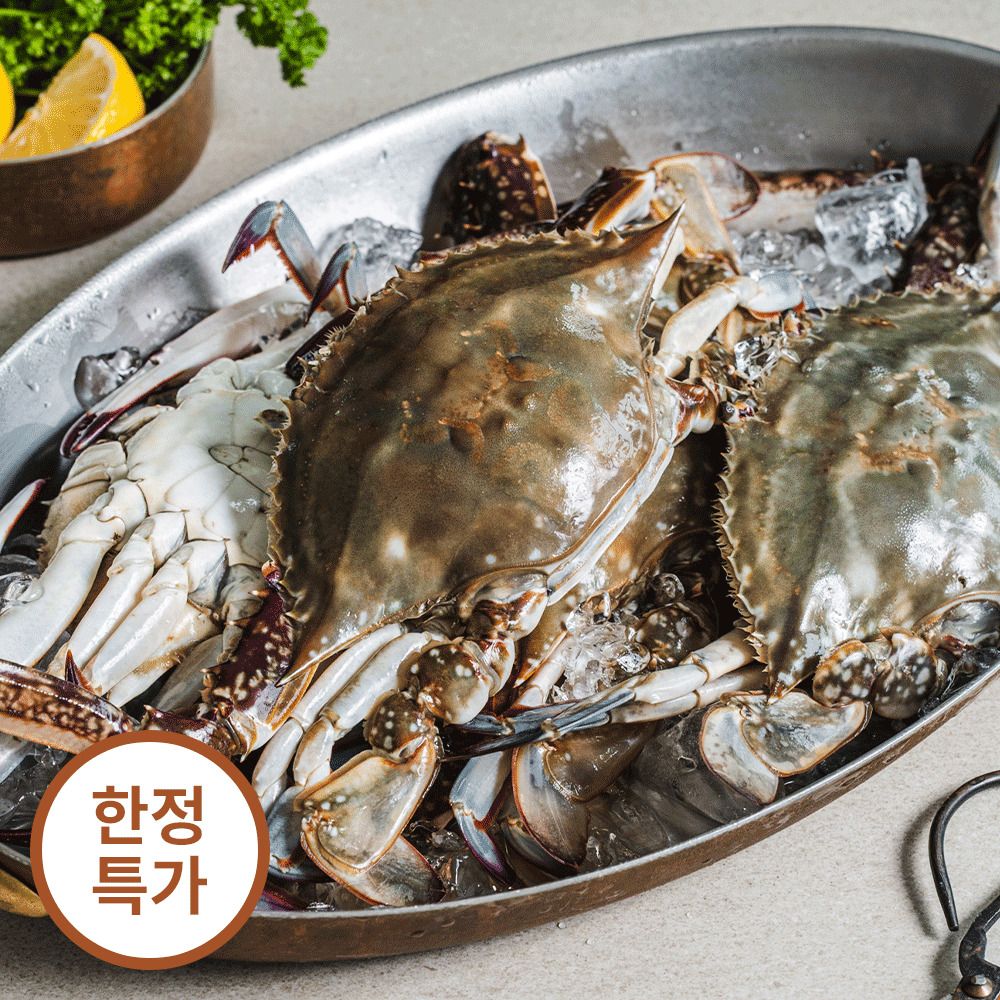 [한정특가] 신선함 보장! 수율 가득 서해안 활 숫꽃게 1kg (3-5미)