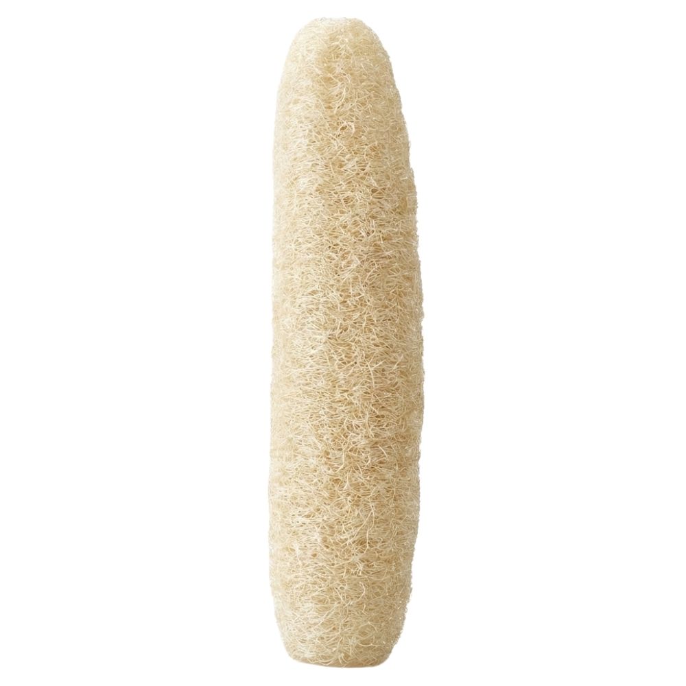 람스홈 루파 식물성 천연 수세미 바게트 25cm 1개입 2+1, 무료배송