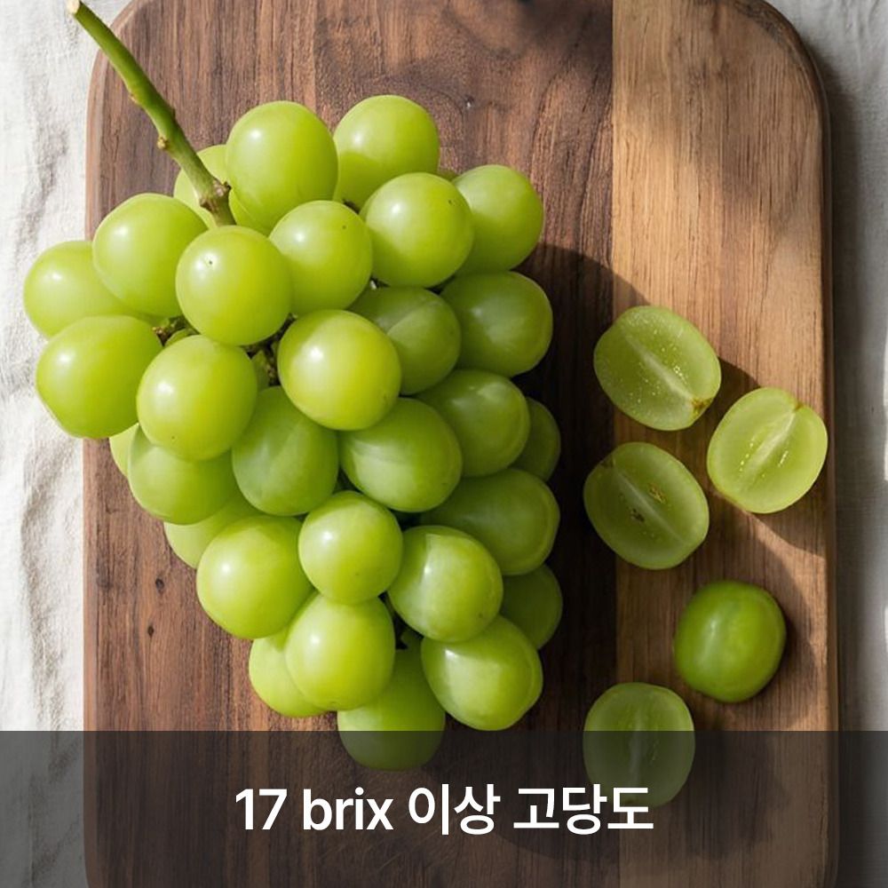 [단3일만] 농장직송! 우리가 사랑한 샤인머스캣