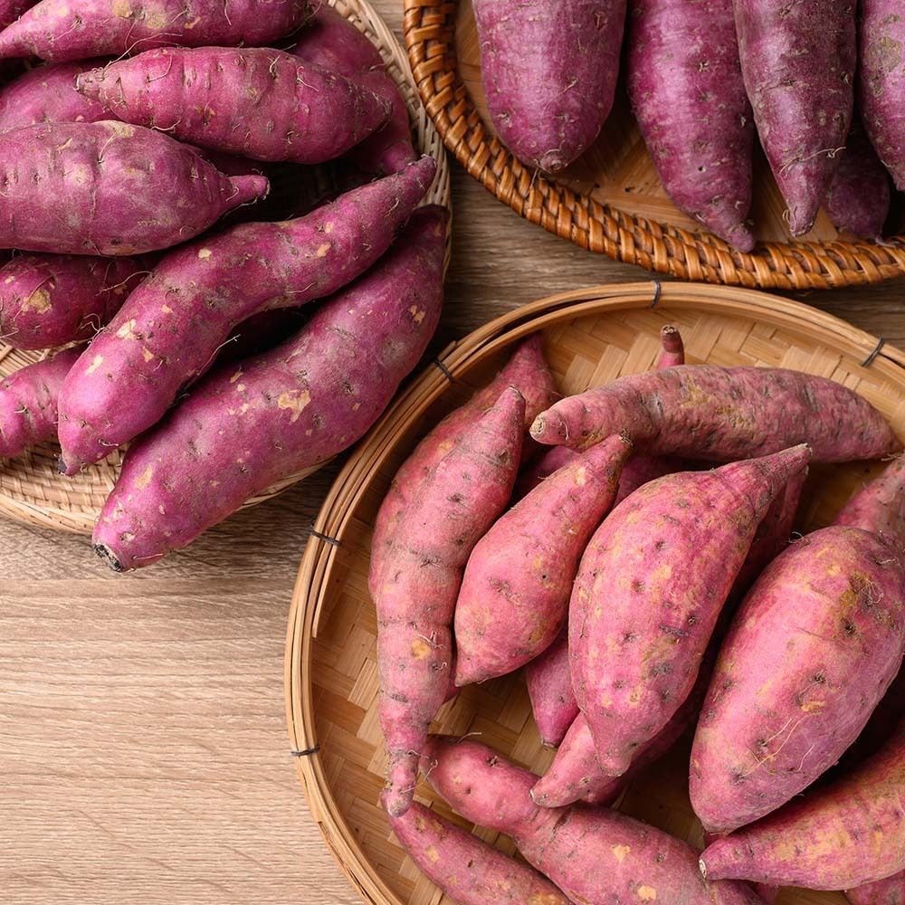 촉촉한 노란 속살, 달콤한 호박고구마 특상 2kg