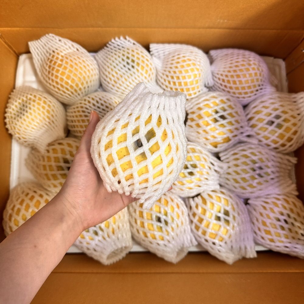 산지직송! 김서방 시나노골드 황금사과 (2kg~5kg)