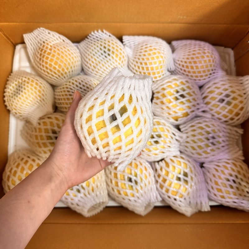 산지직송! 김서방 시나노골드 황금사과 (2kg~5kg)