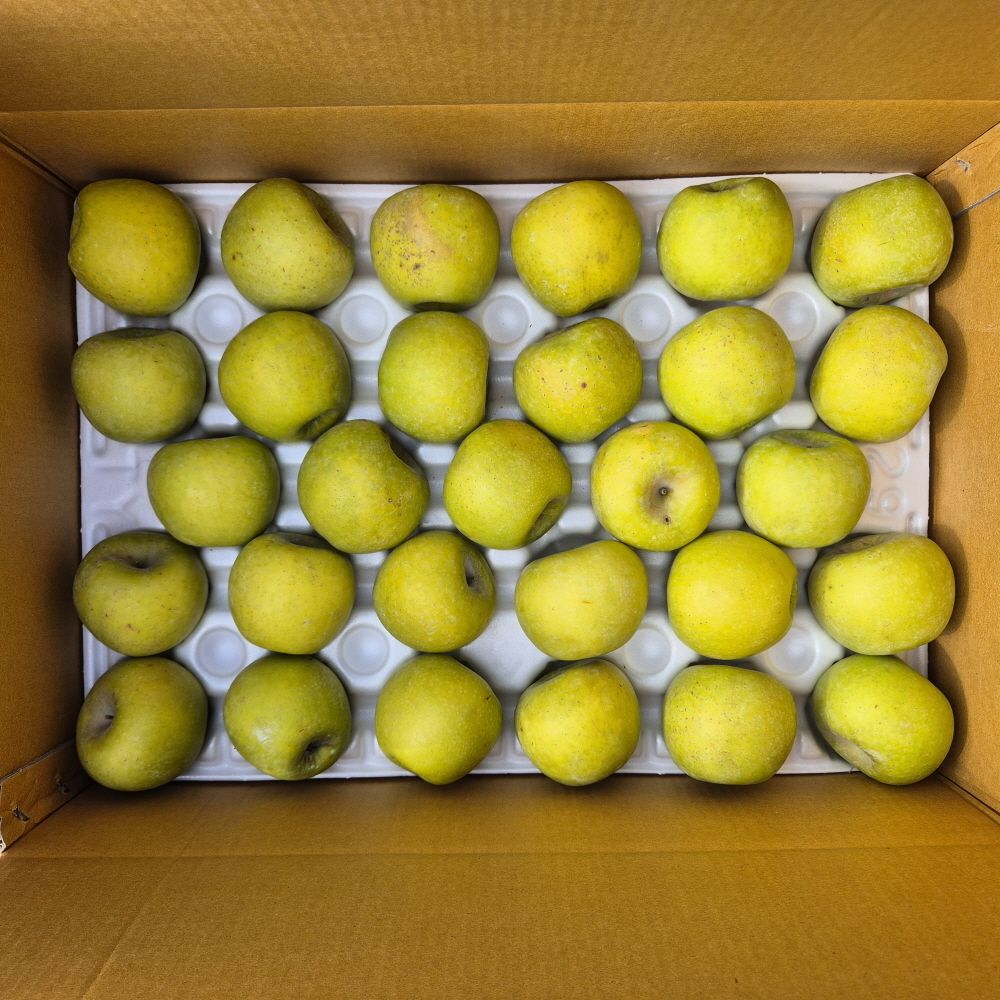 산지직송! 김서방 시나노골드 황금사과 (2kg~5kg)