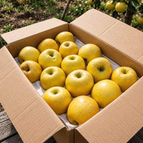 산지직송! 김서방 시나노골드 황금사과 (2kg~5kg)