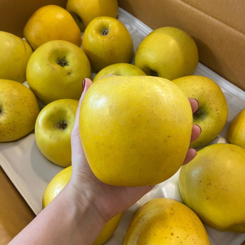 산지직송! 김서방 시나노골드 황금사과 (2kg~5kg)
