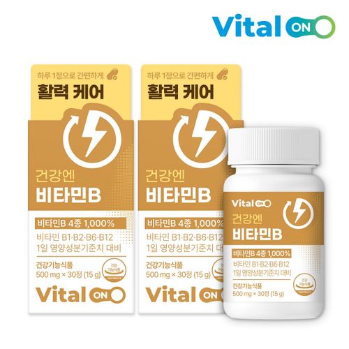 바이탈온 건강엔 비타민B 500mg x 30정 2박스