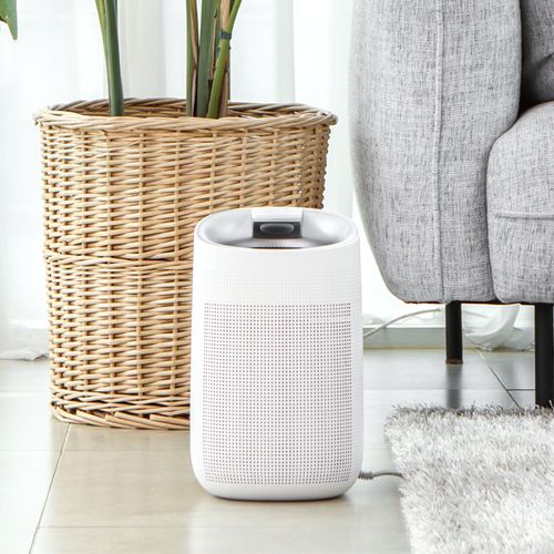 블레스 H13 헤파필터 소형 공기청정기 제습기 AD900W