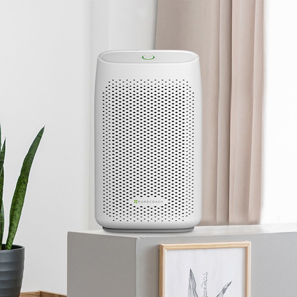 [퓨어코치] 펠티어 저소음 원룸 습기제거 미니 제습기 DH750