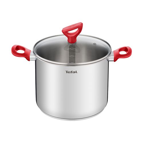 테팔 에디션 레드 인덕션 곰솥냄비 22cm