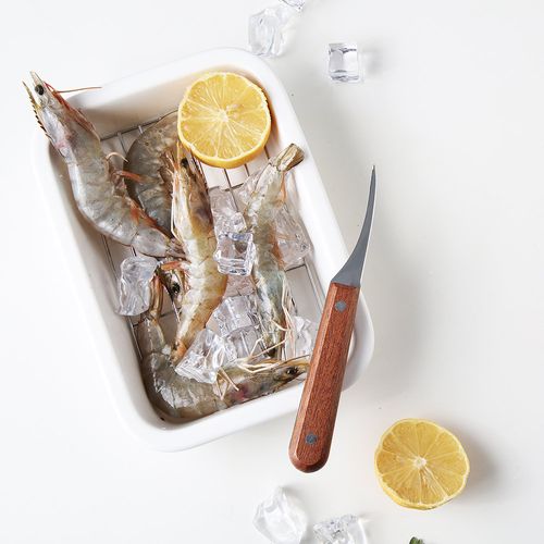 푸코 새우 손질 칼