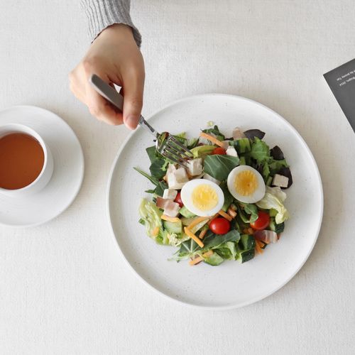 카모메키친 퓨어 플레이트