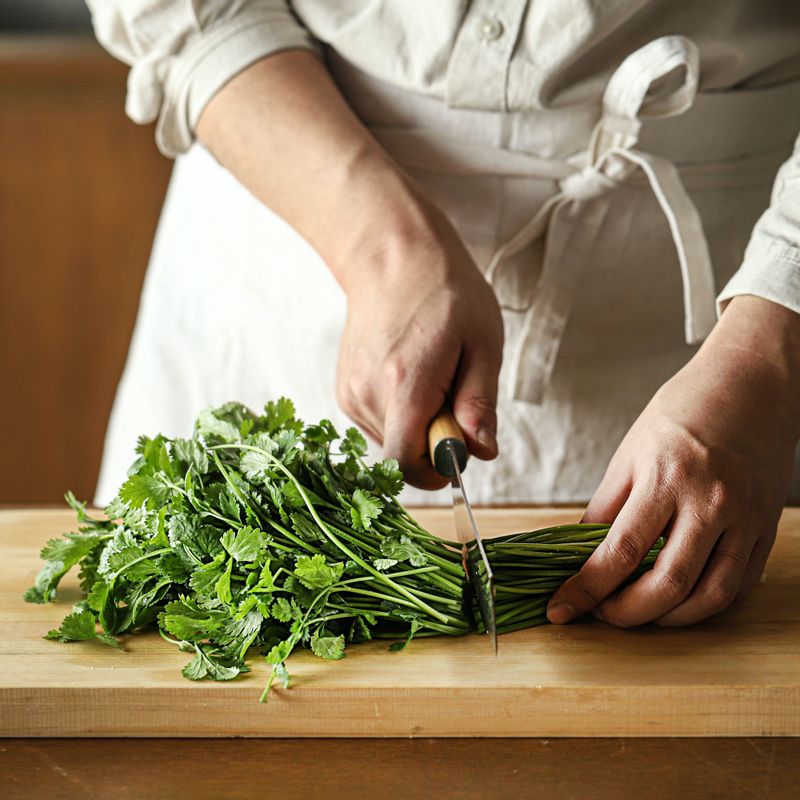 깨끗이 씻은 고수는 물기를 완전히 제거한 후 질긴 줄기를 잘라내고 이등분 해 주세요.