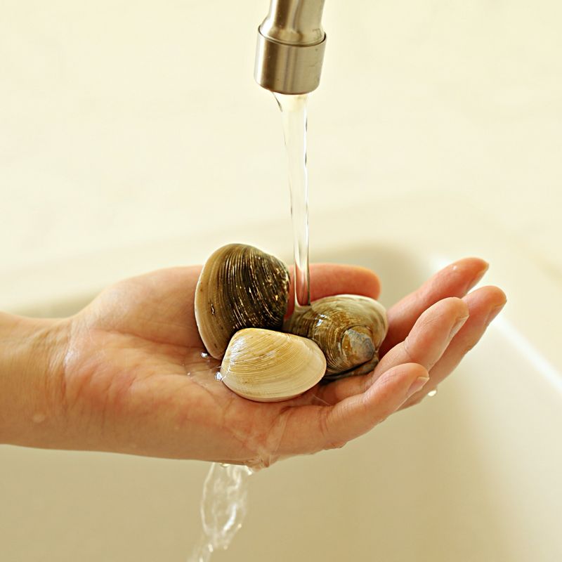 모시조개는 소금물에 담가 3~4시간 정도 해감 후 깨끗이 씻어주세요.