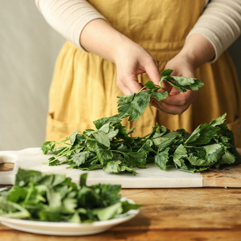 깨끗이 씻은 참나물은 물기를 완전히 제거한 후 굵은 아랫부분의 줄기를 잘라내고 잎을 떼어내 주세요.