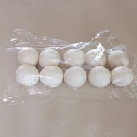 분할 & 중간 발효 Step 2