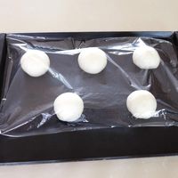 팬닝 & 2차 발효 Step 2