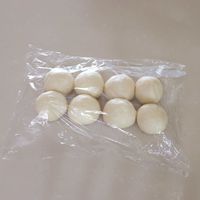 분할 & 중간 발효 Step 2