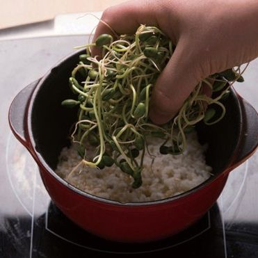 4. 냄비에 씻어놓은 초록콩나물을 넣고 센 불에서 5분, 약불에서 10여 분간 끓여준 뒤 5분간 뜸을 들여주세요.