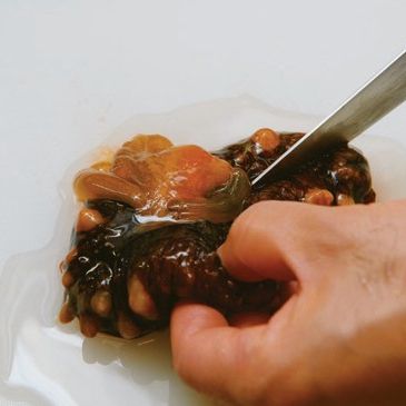 해삼 들깨 소스 초회을 위한 재료 이미지로 해삼,오이,산마,다시마,정종 등으로 구성 되어있습니다.