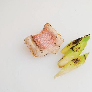 옥도미 맑은 국을 위한 재료 이미지로 옥도미,무,구운 대파,유자 껍질 등으로 구성 되어있습니다.
