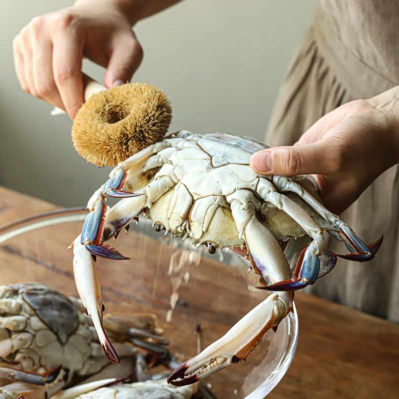 꽃게는 조리용 솔로 비벼 깨끗이 씻은 후 물기를 제거하고 보관 용기에 꽃게의 배가 위로 오도록 담아주세요.
(tip. 봄에는 알이 꽉 찬 암게를 사용하고 가을에는 살이 통통하게 오른 수게를 사용해서 만드시는 것이 좋고 살아있는 게는 냉동실에 2시간 정도 넣었다가 손질하시면 게의 살이 물러지지 않아요.)