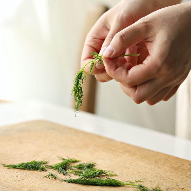 딜은 손으로 잎을 뜯어주세요. 사워크림에 딜을 넣어 딜 사워크림을 만들어주세요.
(tip.사워크림이 없을 경우 생크림 200mL, 요거트 70mL 또는 우유 70mL, 레몬즙 1큰술을 넣고 20시간 정도 실온에서 발효시켜 사워크림을 만들어주세요)