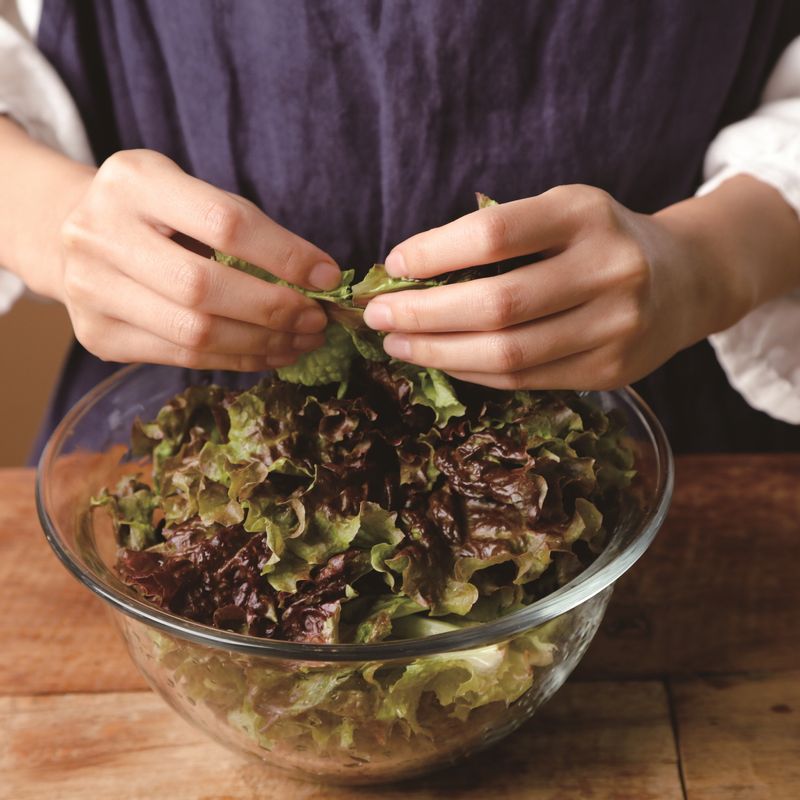 상추는 흐르는 물에 씻은 후 물기를 제거하고 먹기 좋은 크기로 찢어서 준비합니다.
*Tip. 너무 연한 상추로 겉절이를 하면 숨이 금방 죽어 버리므로 여름에 자란 쇤 상추로 만드는 게 좋답니다!