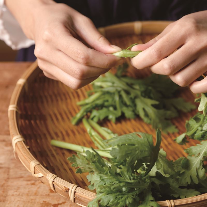 쑥갓무침을 위한 재료 이미지로 쑥갓 등으로 구성 되어있습니다.