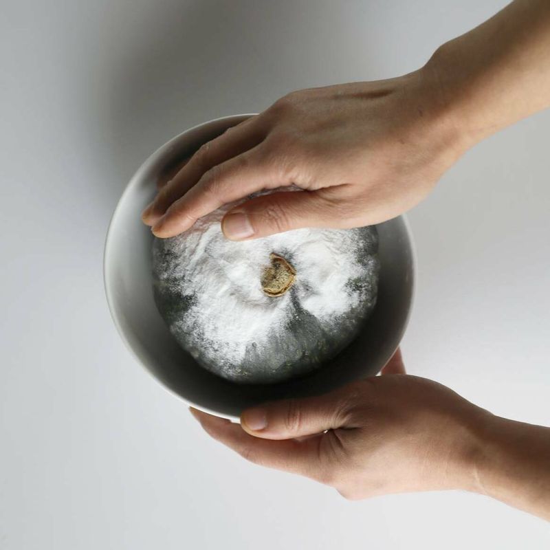 단호박을 큰 그릇에 담고 베이킹파우더로 표면을 문지르며 세척해주세요.