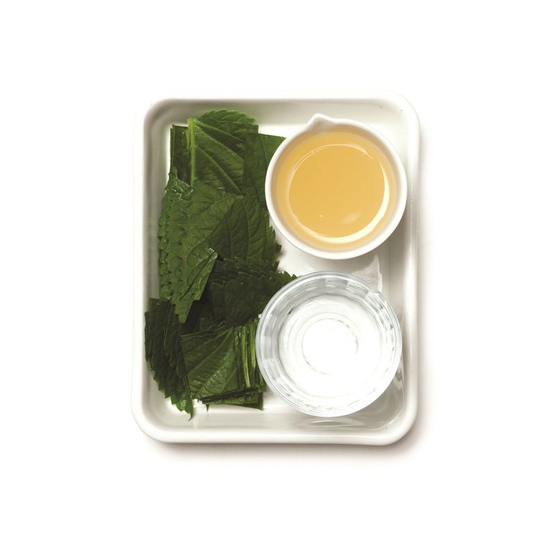 깻잎주스을 위한 재료 이미지로 깻잎,레몬,물 등으로 구성 되어있습니다.