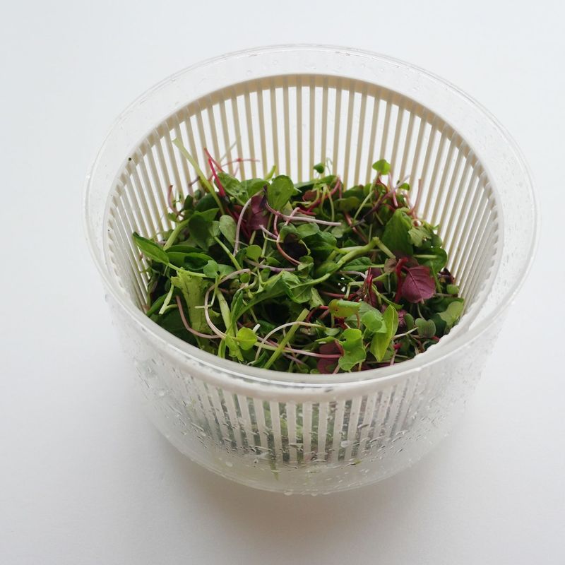 어린잎채소를 깨끗이 씻어 체에 밭쳐 물기를 빼주세요.